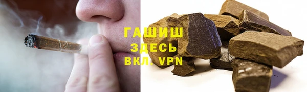 гидра Щёлкино