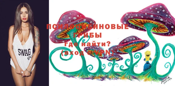 apvp Няндома