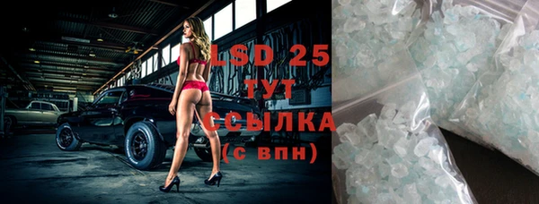 ПСИЛОЦИБИНОВЫЕ ГРИБЫ Вязьма