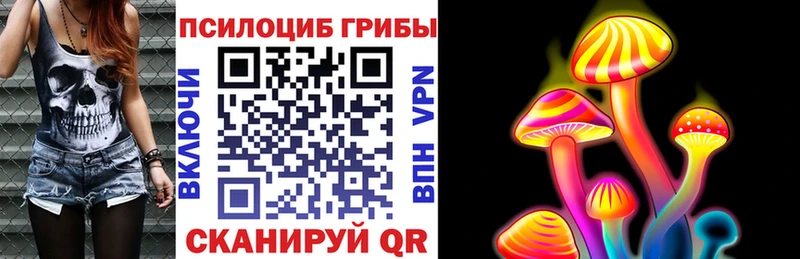 Псилоцибиновые грибы Psilocybine cubensis  кракен ТОР  Лодейное Поле  купить  