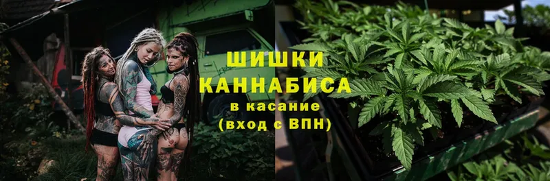 купить наркотики цена  Лодейное Поле  Канабис THC 21% 